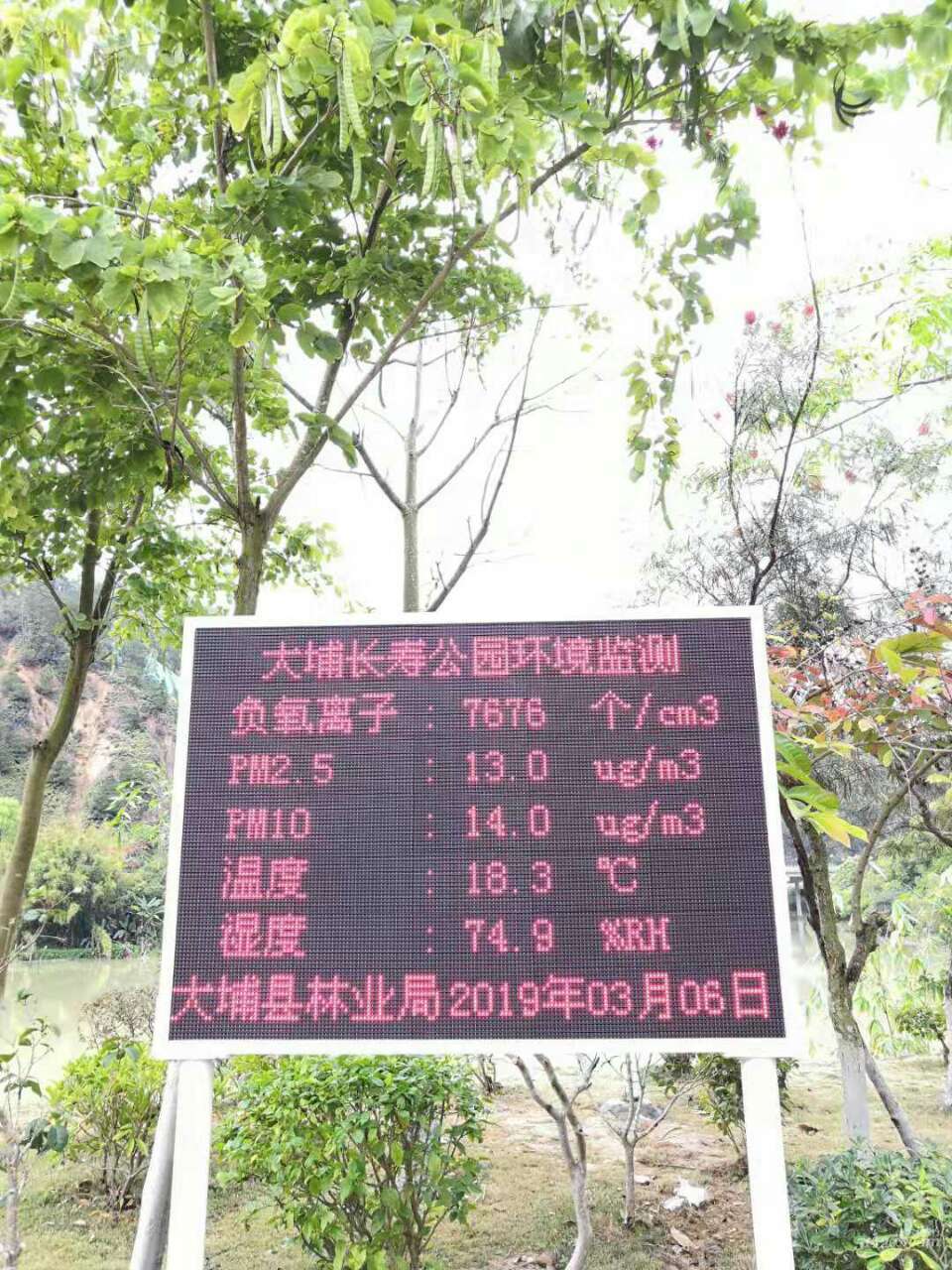 来自曦晖中介的埔友圈
