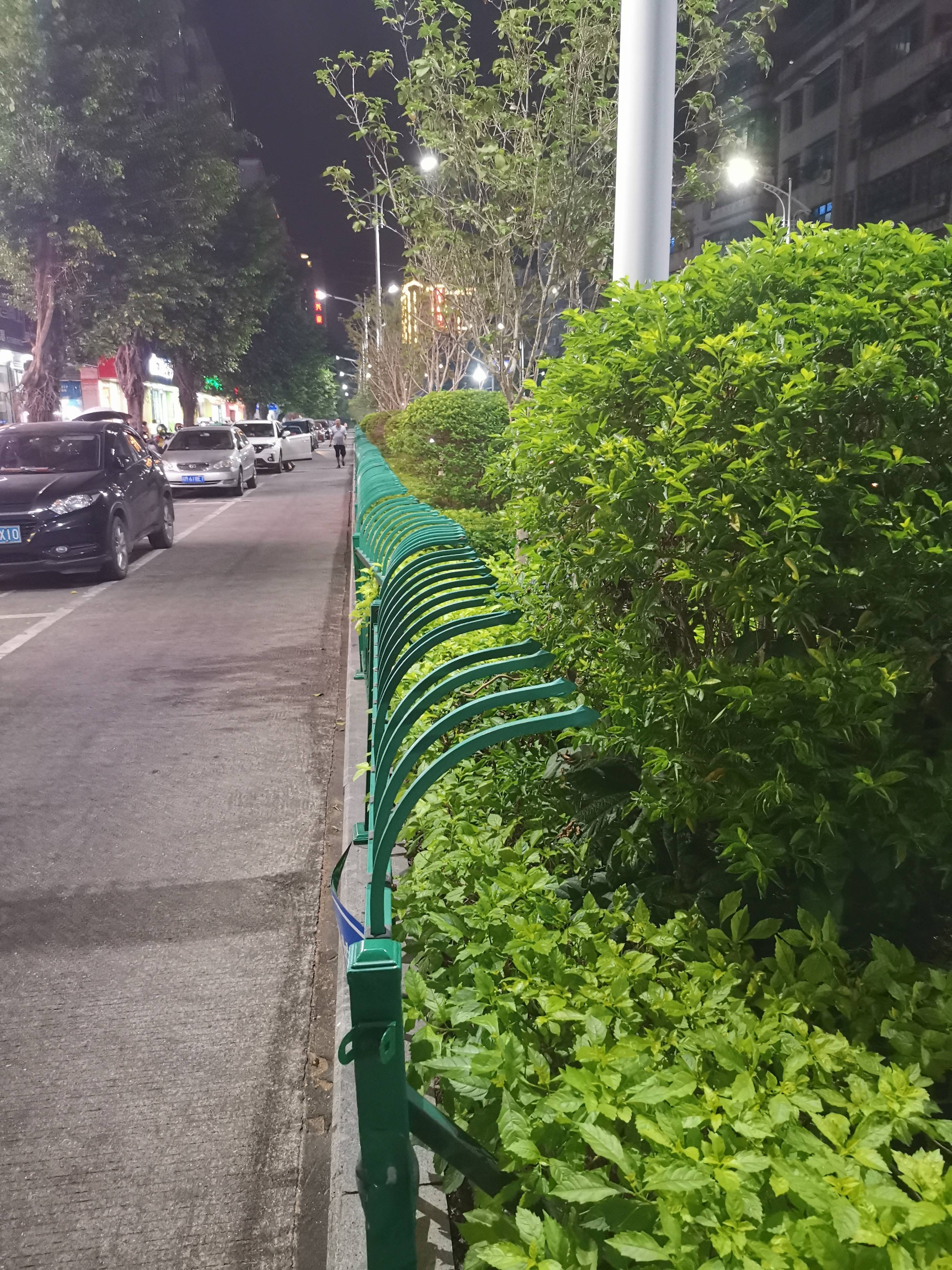 危险!大埔小学门前的绿化带防护栏