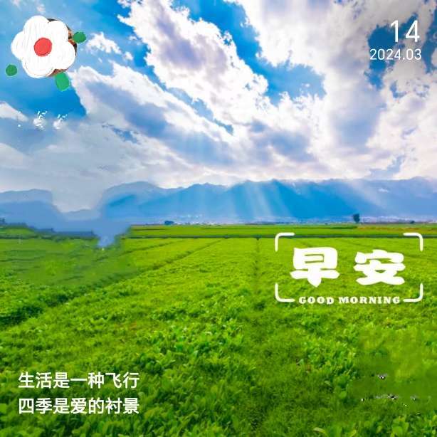 10小时前埔友圈| 大埔人共同的朋友圈(今日4)梅州:一中年男子肚腩大到