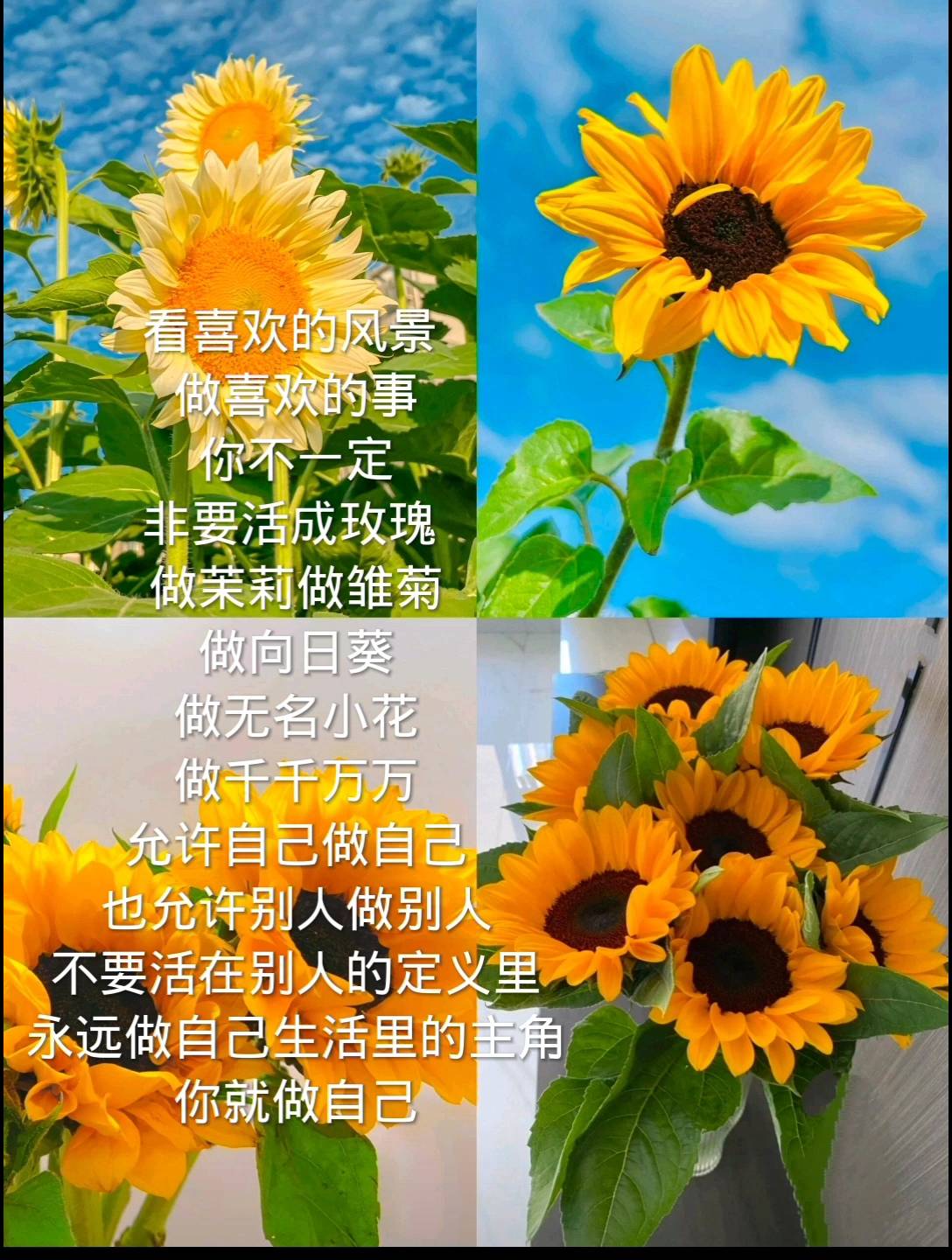 大埔网_大埔论坛_提供大埔各类生活资讯的地方门户.